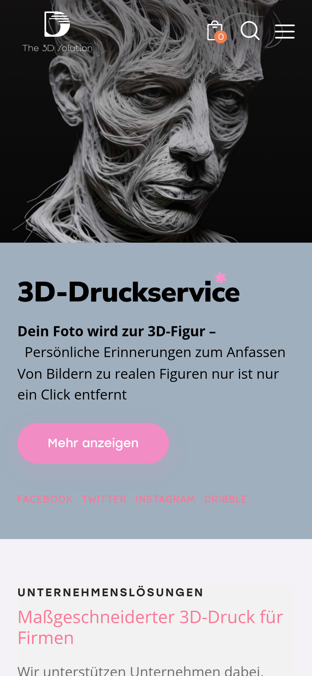 The 3D Solution Service-Detail
